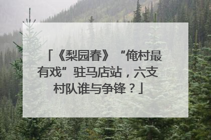 《梨园春》“俺村最有戏”驻马店站，六支村队谁与争锋？
