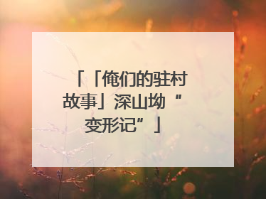 「俺们的驻村故事」深山坳“变形记”