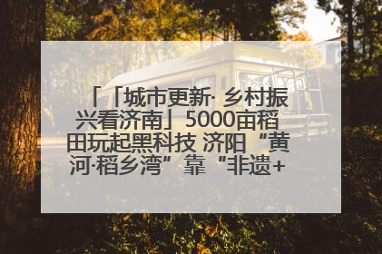 「城市更新· 乡村振兴看济南」5000亩稻田玩起黑科技 济阳“黄河·稻乡湾”靠“非遗+露营”火出圈