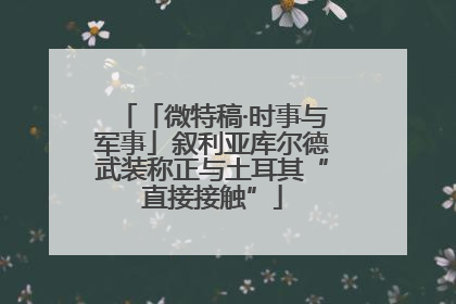 「微特稿·时事与军事」叙利亚库尔德武装称正与土耳其“直接接触”