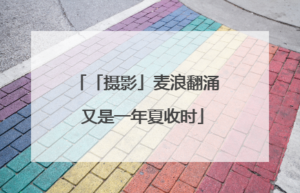 「摄影」麦浪翻涌 又是一年夏收时