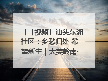 「视频」汕头东湖社区：乡愁归处 希望新生｜大美岭南·百村焕新记