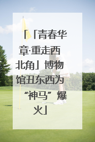 「青春华章·重走西北角」博物馆丑东西为“神马”爆火
