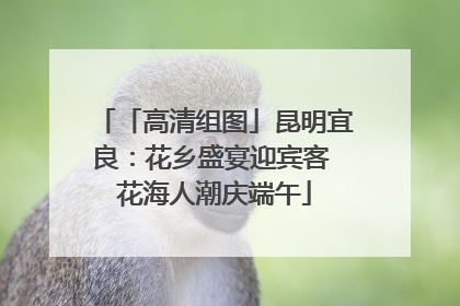 「高清组图」昆明宜良：花乡盛宴迎宾客 花海人潮庆端午