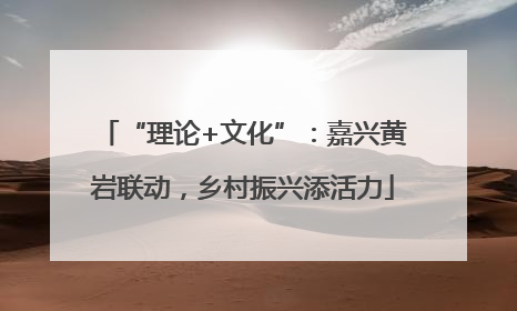 “理论+文化”：嘉兴黄岩联动，乡村振兴添活力