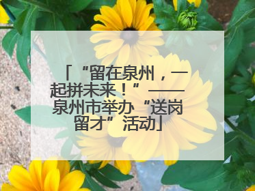 “留在泉州，一起拼未来！”——泉州市举办“送岗留才”活动