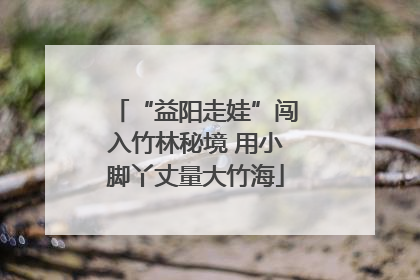 “益阳走娃”闯入竹林秘境 用小脚丫丈量大竹海