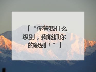 “你管我什么级别，我能抓你的级别！”