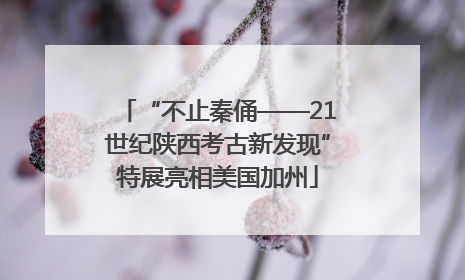 “不止秦俑——21世纪陕西考古新发现”特展亮相美国加州