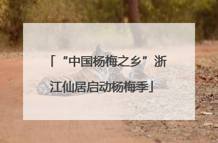 “中国杨梅之乡”浙江仙居启动杨梅季