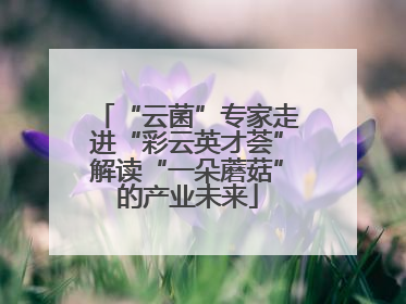 “云菌”专家走进“彩云英才荟”解读“一朵蘑菇”的产业未来