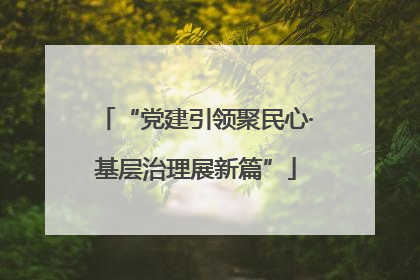 “党建引领聚民心·基层治理展新篇”
