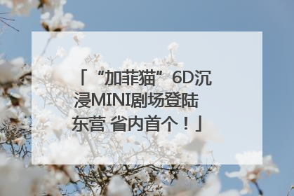 “加菲猫”6D沉浸MINI剧场登陆东营 省内首个！