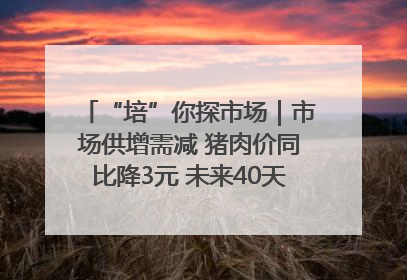 “培”你探市场｜市场供增需减 猪肉价同比降3元 未来40天便宜猪肉敞开吃