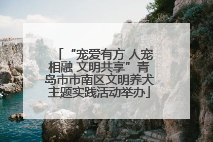“宠爱有方 人宠相融 文明共享”青岛市市南区文明养犬主题实践活动举办