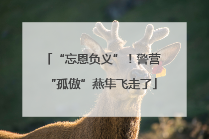 “忘恩负义”！警营“孤傲”燕隼飞走了