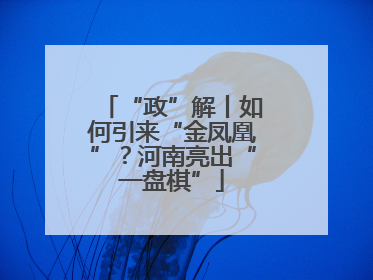 “政”解丨如何引来“金凤凰”？河南亮出“一盘棋”