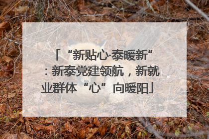 “新贴心·泰暖新”：新泰党建领航，新就业群体“心”向暖阳
