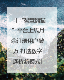 “智慧熊猫”平台上线月余注册用户破万 打造数字连侨新模式