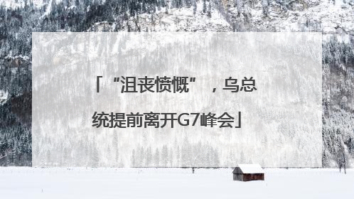 “沮丧愤慨”，乌总统提前离开G7峰会
