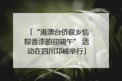 “港澳台侨叙乡情 粽香漆韵迎端午” 活动在四川邛崃举行