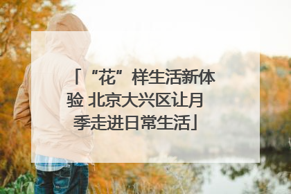 “花”样生活新体验 北京大兴区让月季走进日常生活