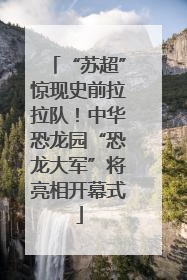 “苏超”惊现史前拉拉队！中华恐龙园“恐龙大军”将亮相开幕式