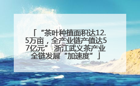 “茶叶种植面积达12.5万亩，全产业链产值达57亿元” 浙江武义茶产业全链发展“加速度”