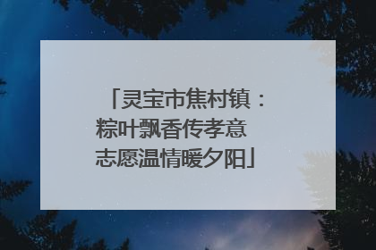 灵宝市焦村镇：粽叶飘香传孝意 志愿温情暖夕阳