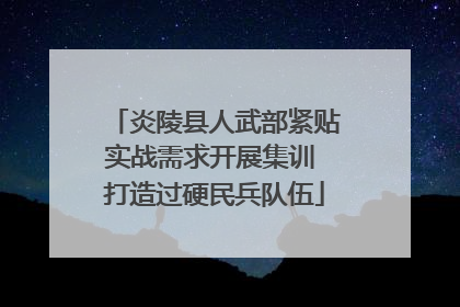炎陵县人武部紧贴实战需求开展集训 打造过硬民兵队伍