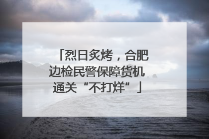 烈日炙烤，合肥边检民警保障货机通关“不打烊”