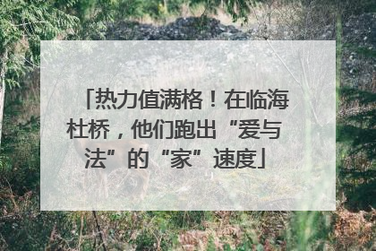热力值满格！在临海杜桥，他们跑出“爱与法”的“家”速度