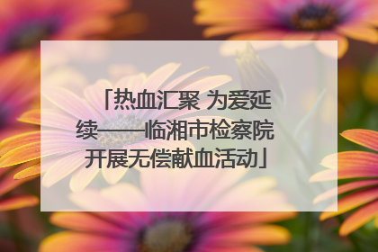 热血汇聚 为爱延续——临湘市检察院开展无偿献血活动