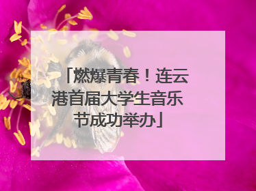 燃爆青春！连云港首届大学生音乐节成功举办