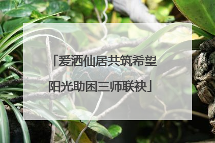 爱洒仙居共筑希望 阳光助困三师联袂