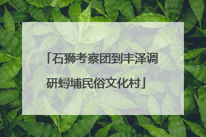 石狮考察团到丰泽调研蟳埔民俗文化村
