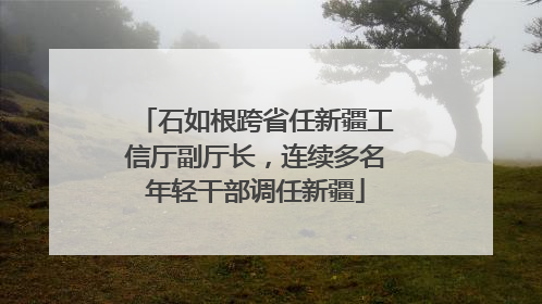 石如根跨省任新疆工信厅副厅长，连续多名年轻干部调任新疆