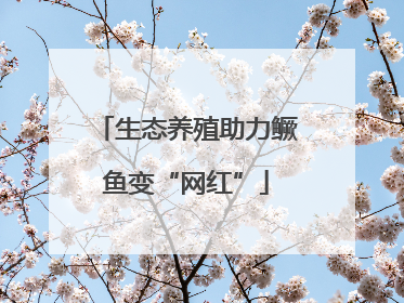生态养殖助力鳜鱼变“网红”