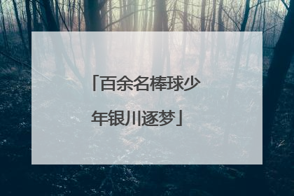百余名棒球少年银川逐梦