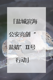 盐城滨海公安亮剑“盐靖”Ⅱ号行动