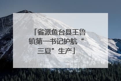 省派鱼台县王鲁镇第一书记护航“三夏”生产