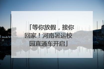 等你放假，接你回家！河南暑运校园直通车开启