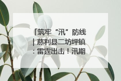 筑牢“汛”防线｜慈利县二坊坪镇：雷霆出击！汛期捕鱼被紧急叫停