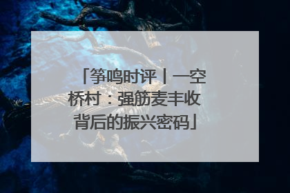 筝鸣时评丨一空桥村：强筋麦丰收背后的振兴密码