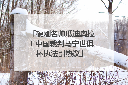 硬刚名帅瓜迪奥拉！中国裁判马宁世俱杯执法引热议
