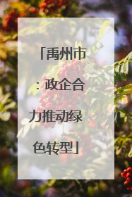 禹州市：政企合力推动绿色转型