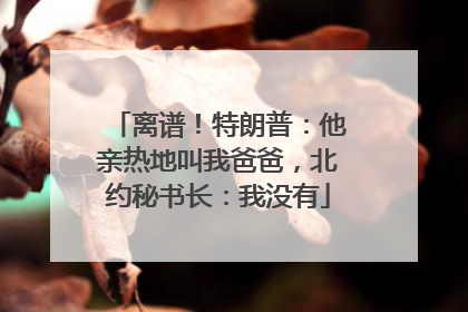 离谱！特朗普：他亲热地叫我爸爸，北约秘书长：我没有