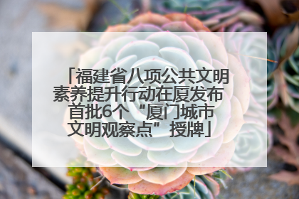 福建省八项公共文明素养提升行动在厦发布 首批6个“厦门城市文明观察点”授牌