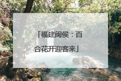 福建闽侯：百合花开迎客来