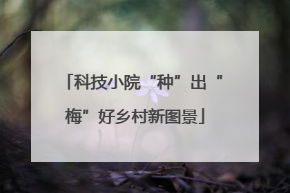 科技小院“种”出“梅”好乡村新图景